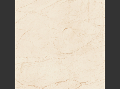 駱駝磁磚、駱駝磁磚品牌